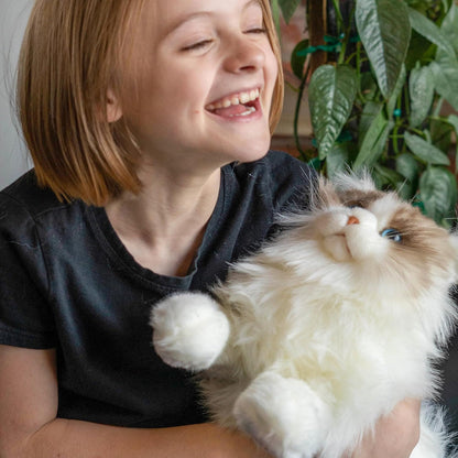 UltraSoft Ragdoll Kitty