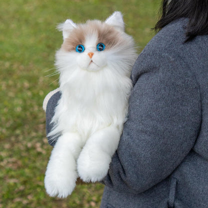 UltraSoft Ragdoll Kitty
