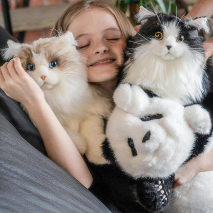 UltraSoft Ragdoll Kitty